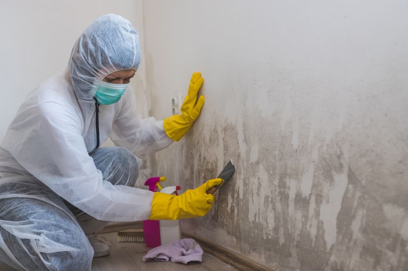 Specialized Mold Remediation Teams